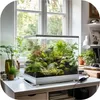 A terrarium with plants is placed on a desk next to a window, with office supplies and a lamp visible. Voir les images du produit