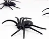 Oblique Unique 6x Spinnen groß Halloween Fasching Karneval Produktbild-Vorschau 4