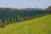 A dark green privacy screen fence is installed along a property line, with a row of small evergreen trees planted in front of it. Houses and a utility pole are visible in the background. Náhled obrázku produktu