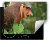DarHaus Herdabdeckplatte 80x52 cm Anti Rutsch Matte Produktbild-Vorschau 1