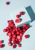 KoRo I Gefriergetrocknete Cranberrys 175 g Produktbild-Vorschau 5