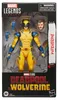 Marvel G16615X0, 14 rok / roky, Deadpool & Wolverine, Náhľad obrázku produktu 1