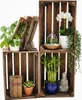 Obstkiste 40 x 30 x 25 cm  3er SET Geflammt Produktbild-Vorschau 9