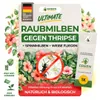 Turbo Raubmilben Swirskii gegen Thripse, Weiße Fliegen & Produktbild-Vorschau 1