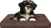 A puppy lying on a dog bed. Náhled obrázku produktu