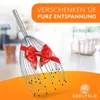 Die entspannende Kopfmassage Spinne mit 28 Fingern von Produktbild-Vorschau 5