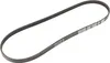 Keilrippenriemen 4K860-2 DAYCO 7743660 Produktbild-Vorschau 1