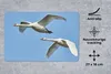 MuchoWow® Mauspad Mousepad Schwan - Vogel - Himmel - Blau Produktbild-Vorschau 2