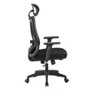 Fotel Biurowy Obrotowy Ergonomiczny Czarny Horseking Siatka Podgląd zdjęcia produktu 4