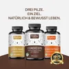 Cordyceps Kapseln – Extrakt (10:1), vegan & mit Schwarzem Produktbild-Vorschau 4