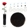 trendfinding 100 g di granuli hydrobeads deco, Anteprima dell’immagine prodotto 2