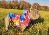 nted Dog Nepromokavá softshellová bunda pro psa - Rain Náhled obrázku produktu 1