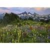 Heye Puzzle Tatoosh Mountains, 2000 szt., Krajobraz Podgląd zdjęcia produktu 2