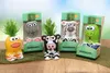 Anzuchtset Munakuppi Zebra | Anzuchtsets von Buzzy Gifts Produktbild-Vorschau 5