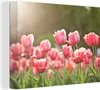 MuchoWow® - Leinwandbilder - Tulpen - Sonne - Frühling, Produktbild-Vorschau 1