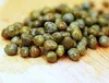 Kapary (Capparis spinosa)  – 20 semen Náhled obrázku produktu 2