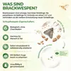 Brackwespen gegen Lebensmittelmotten - 1 Röhrchen - Produktbild-Vorschau 3