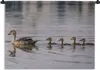 MuchoWow® Wandteppich Wandbehang Ente - Wasser - Vogel - Produktbild-Vorschau 1