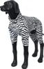 Rukka Pets Overall Zebra, Größe: 55 / Rückenlänge: 55 cm Produktbild-Vorschau 2
