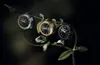 Invicta Mini 44481 Damen Uhr - Quartz Bewegung - Edelstahl Produktbild-Vorschau 4