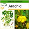SAFLAX - Arachid - 8 Nasiona - Z podłożem uprawowym wolnym Podgląd zdjęcia produktu 9