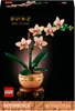 LEGO Botanicals Mini-Orchidee - Bauset für Erwachsene - Produktbild-Vorschau 7