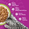 Whiskas Gemischte Auswahl in Gelee Katzennassfutter 40 Produktbild-Vorschau 12