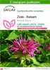SAFLAX - Zioła - Balsam - 20 Nasiona - Z podłożem uprawowym Podgląd zdjęcia produktu 1