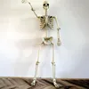 Halloween Skelett – Realistische Wetterfestes Knochengerüst Produktbild-Vorschau 5