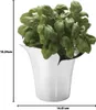 Georg Jensen - BLOOM Botanica Übertopf, 14 cm Produktbild-Vorschau 6