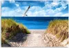 Leinwandbild weg zum strand und eine möwe 90x60 cm Feeby Produktbild-Vorschau 3