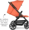 ABC Design GmbH Buggy Avus carrot Produktbild-Vorschau 19