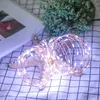 A string of LED lights is wrapped around a starfish on a checkered cloth, with a book and dried flowers in the background. Produktbild-Vorschau