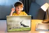 MuchoWow® Laptop Aufkleber Sticker Cover Vogel - Gras - Produktbild-Vorschau 3