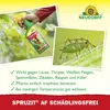 Neudorff Spruzit AF Schädlingsfrei 250ml bekämpft Eier, Produktbild-Vorschau 4