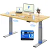 FLEXISPOT ValtreX E200 Scrivania regolabile in altezza Anteprima dell’immagine prodotto 1