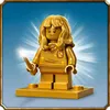 LEGO Harry Potter Hogwart™: spotkanie z Puszkiem, Zestaw do Podgląd zdjęcia produktu 26