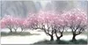 Coloray Bild aus Leinwand 100x50 Leinwand Dekoration - Produktbild-Vorschau 1