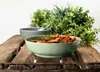 Foodbowl 20 cm - Seltmann Weiden Beat Arktisblau uni - Produktbild-Vorschau 8