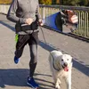 Trainingstasche für Hunde,Schwarz Leckerlitasche,Activity Produktbild-Vorschau 6