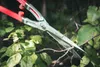 A close-up shot of garden shears cutting a branch of a leafy plant. Voir les images du produit