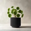 Moderner 3D-gedruckter Pflanztopf – Decords, Produktansicht 1 Productafbeelding-voorbeeld