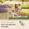 Floranica Bordure de jardin H 30 x L 100 cm Nature – Voir les images du produit 6