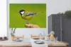 MuchoWow® Poster Vogel - Kohlmeise - Tiere - Grün 180x120 Produktbild-Vorschau 3