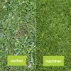 PROTECT GARDEN Loredo® Quattro Universal-Rasenunkrautfrei Produktbild-Vorschau 6