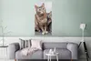 MuchoWow® Poster Katze - Kätzchen - Fell 60x120 cm - Produktbild-Vorschau 5