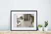 MuchoWow® MuchoWow® Gerahmtes Poster Katze - Tier - Produktbild-Vorschau 6