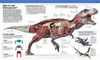 DK Wissen. Dinosaurier Produktbild-Vorschau 4
