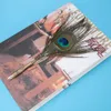 Dip Pen, plumes de paon papeterie boîte-cadeau Belle Voir les images du produit 4