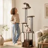KOMFOTTEU, albero per gatti di 183 cm, tiragraffi per gatti Anteprima dell’immagine prodotto 9